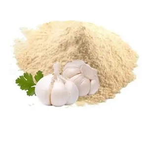 Bulk Halal Certified Food Grade Dehydrated Garlic Powder Cheap price