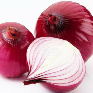 Cebolla Fresca Vietnamita de Alta Calidad al Mejor Precio para Venta al por Mayor - Product Image 2