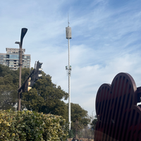 Poteau monopode en acier galvanisé résistant aux vents forts pour la communication mobile