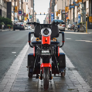 QSD Scooter Triciclo Eléctrico para Adultos Mayores <span class=keywords><strong>Trimoto</strong></span> de 3 Ruedas para Movilidad Triciclo Eléctrico Recreativo - Product Image 6