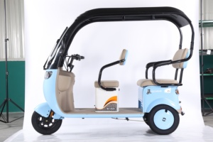 2025 CE nuevo triciclo bicicleta eléctrica 800W CAMIÓN Tuk scooter de <span class=keywords><strong>3</strong></span> ruedas tándem gordo <span class=keywords><strong>Europa</strong></span> - Product Image 5