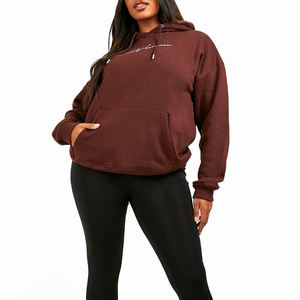 Top Trending Women extra pullover Hoodies Custom Logo Print Manga larga Street wear Mujeres Hoodies para la venta - Product Image 3