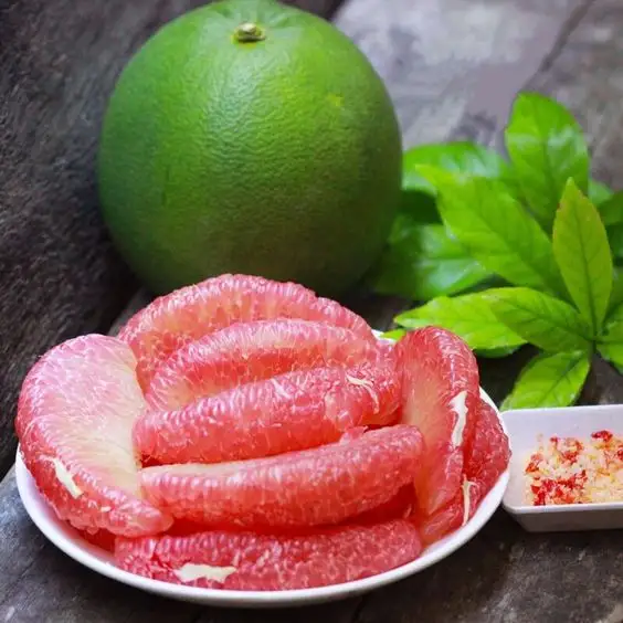 Exportação de pomelo fresco de alta qualidade a granel do Vietnã