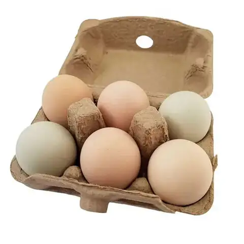 Toptan en kaliteli çiftlik taze tavuk yumurta