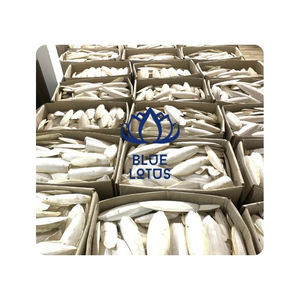 HUESO DE SEPPIA EN TENDENCIA para Moldes de Metalistería Artística y Fuente de Calcio Puro Sostenible para Nutrientes Profesionales para Mascotas - Product Image 1