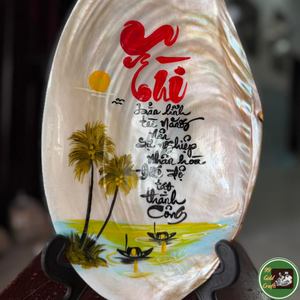 Decoración con Conchas Naturales, Material de Conchas Marinas para Decoración del Hogar, Souvenirs y Producción de Artesanías de Vietnam - Product Image 6