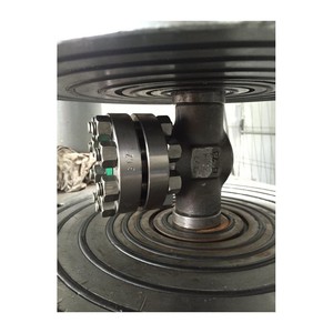 Válvula de retención forjada de tamaño 1/2'' con extremos NPT de acero al carbono para uso industrial que permite el flujo hacia adelante y evita el flujo inverso. - Product Image 5