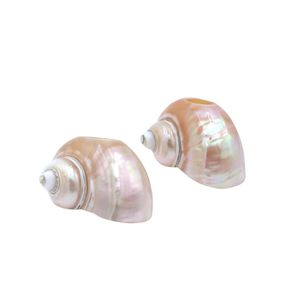 Rond de serviette coquillage à partir de 99 données d'or Vietnam bon prix de haute qualité meilleur choix à la mode - Product Image 1