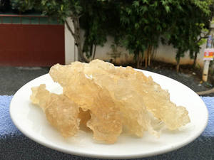 Proveedor de Goma Natural de Sterculia Foetida (Karaya) de Vietnam a Mejor Precio - Product Image 5