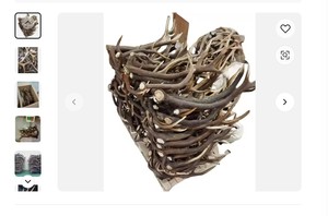 เขากวางสำหรับวางบนโต๊ะ - Product Image 2