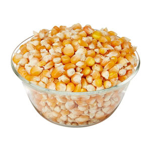 Maíz Glutinoso Amarillo para Consumo Humano, Grado 1, Orgánico, Seco, 25/50 kg, en Bolsa de Polipropileno, Vida Útil de 2 Años - Product Image 1