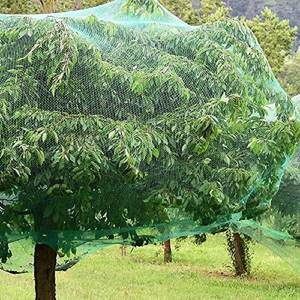 Rete da giardino altamente resistente da 10m X 2m verde Anti-uccello per proteggere piante e frutta dagli uccelli per orti - Product Image 3