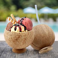 Nouveau design, support de bol en coquille de noix de coco personnalisé, écologique, moderne, pour la vaisselle, les restaurants, les cafés, de haute qualité