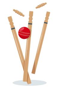 Ensemble de 3 souches de cricket en plastique de qualité supérieure pour personnes âgées - Product Image 2