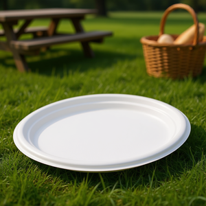 Piatto Ovale Grande Monouso - Product Image 3