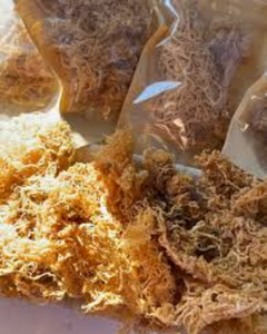 HIGH GRADE <b>DRIED</b> SEA <b>MOSS</b> FROM VIETNAM FOR GLOBAL SUPPLY - Product Image 2