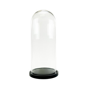 VDM1125WB - โดมแก้ว XL พร้อมฐานไม้สีดำ - 25 - Product Image 1