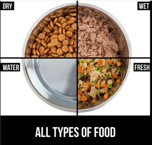 Cuenco para mascotas de acero inoxidable Premium de alta calidad de 300ml, alimentador de agua portátil para comida de perro, suministros de petware de Metal ecológicos - Product Image 5