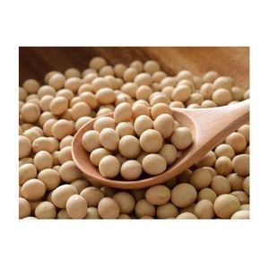 Bán buôn Hữu Cơ đậu nành/Đậu Nành Đậu/đậu nành có sẵn trực tiếp từ Mỹ - Product Image 3