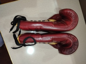 Genuine Leather Waterproof Boxing <b>Gloves</b> for Adults Bestseller Muay Thai Sparring Training with Thick Padding Protection Hand Gr - Product Image 5