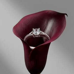 Jeulia Luxury Classic <b>Split</b> Shank Round Cut Engagement <b>Ring</b> - Product Image 4