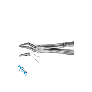 Pince d'extraction dentaire en acier inoxydable de haute qualité Fig 35 pour le fabricant d'instruments dentaires de racines supérieures - Product Image 4