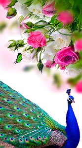 Vente en gros de tissus pour rideaux Jacquard en polyester 100% tissu PU tissé imprimé numérique personnalisable uni de haute qualité pour le gouvernement - Product Image 4