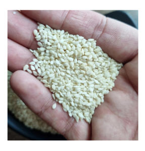 Graines de sésame blanches décortiquées biologiques de qualité supérieure, pureté 99,98 %, qualité export en vrac, idéales - Product Image 1