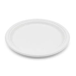 Assiettes en bagasse ProTakeOut 10 pouces - Paquet de 500 (125/4) - Sans PFAS - Écologiques - Biodégradables - Compostables - Assiettes jetables pour micro-ondes - Product Image 1