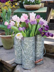 Venta al por mayor de macetas de flores de diseño Caddy de metal personalizadas al mejor precio de la India para jardín y uso doméstico - Product Image 2