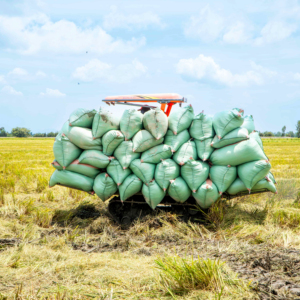 Tractor HOGICO 80VN/Turbo Crawler de 80HP con Motor de Alta Productividad Yunnei Turbo, Caja de Cambios 2WD, Implementos Agrícolas Rentables - Product Image 4