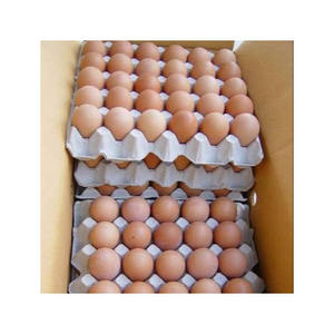 Huevos marrones de calidad de exportación mantenidos en condiciones superiores para envío a granel - Product Image 2