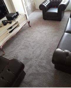 Alfombras de pared a pared para el hogar, se pueden usar en todas las habitaciones del hogar, así como con su aspecto lujoso. - Product Image 4