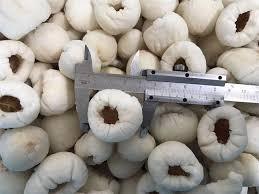 ลิ้นจี่แช่แข็งธรรมชาติ/ส่วนผสมที่สะอาด/ผลไม้ฉ่ำ/คุณภาพสูง - Product Image 4