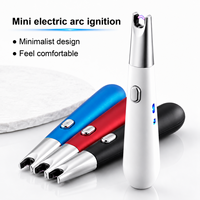 Mini mignon arc électrique briquet coupe-vent USB rechargeable bougie Barbecue briquet de cuisine