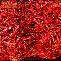 Poivron rouge sec | Dosettes de paprika entières | Piment rouge séché du Vietnam