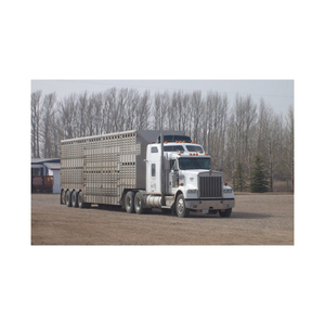 Camión de ganado bastante usado que se ofrece en suministro de grado de exportación con durabilidad confiable - Product Image 6