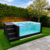 Piscina Pequeña para Patio Trasero, Spa, Piscina de Inmersión, Ventana de Vidrio Acrílico, Casa para Niños, Piscina Elevada para Exteriores en Venta
