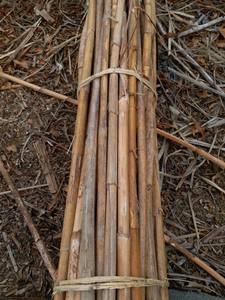 Vente en gros bon marché 40mm à 65mm Poteau de canne en rotin poli Akina - Product Image 6