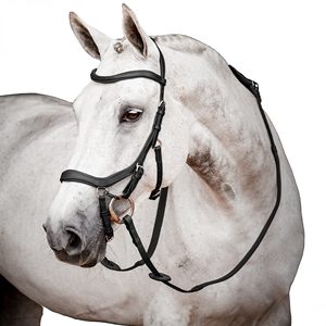 Bride de cheval en cuir véritable de haute qualité FABRICANT en cuir véritable Bride de cheval à la mode Bride de luxe en cuir de cheval - Product Image 2