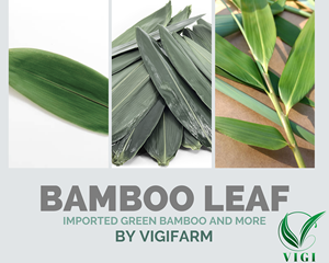 Suministro mayorista superior de hojas de bambú envasadas al vacío a buen precio - Product Image 3