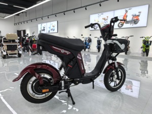 <span class=keywords><strong>Bicicleta</strong></span> <span class=keywords><strong>Eléctrica</strong></span> Urbana de Largo Alcance, Precio Económico, Alta Calidad, Cuadro de Acero al Carbono, Motor sin Escobillas de <span class=keywords><strong>48V</strong></span> y 1000W, <span class=keywords><strong>Batería</strong></span> de Litio - Product Image 3