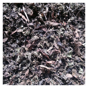 Vietnam Black Grass Jelly with Natural Flavor, Bulk Black Grass Jelly for <b>Bubble</b> <b>Tea</b>, Dessert Jelly, <b>Drinks</b> and Export Supply - Product Image 2