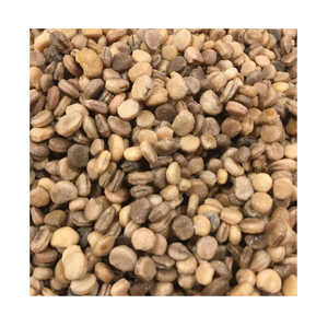 Noix/graines de ginseng sec Fournisseur de qualité d'origine - Product Image 2