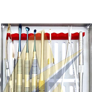 10 piezas nueva llegada personalización Logo impresión Dental Micro cirugía oral instrumentos Kit por SUAVE instrumentos quirúrgicos - Product Image 4