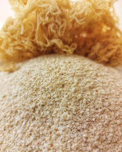 Poudre d'algues marines de haute qualité, approvisionnement en vrac, qualité d'exportation en gros - Product Image 1