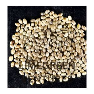 Semillas de Cáñamo Orgánicas Peladas para Aceite, Exportación al por Mayor desde India, Marca Double Tongues, 12 Meses de Duración - Product Image 4