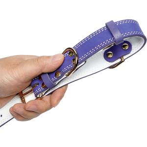 Collier et laisse pour chien en similicuir de haute qualité ensemble chiens moyens grands chiens laisse de corde élégante collier de chien robuste - Product Image 3