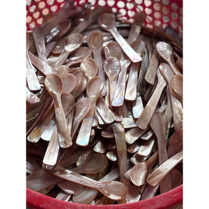 Conchas marinas de suministro barato: Caracol de Luna natural de nueva llegada colorida con patrón de tira hermoso e impresionante - Product Image 6