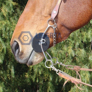 Veterinario Brittany Pozzi Vástago medio 3-Twist Hackamore Horse Bit Boquilla suave Acero inoxidable Todas las herramientas de equitación - Product Image 2
